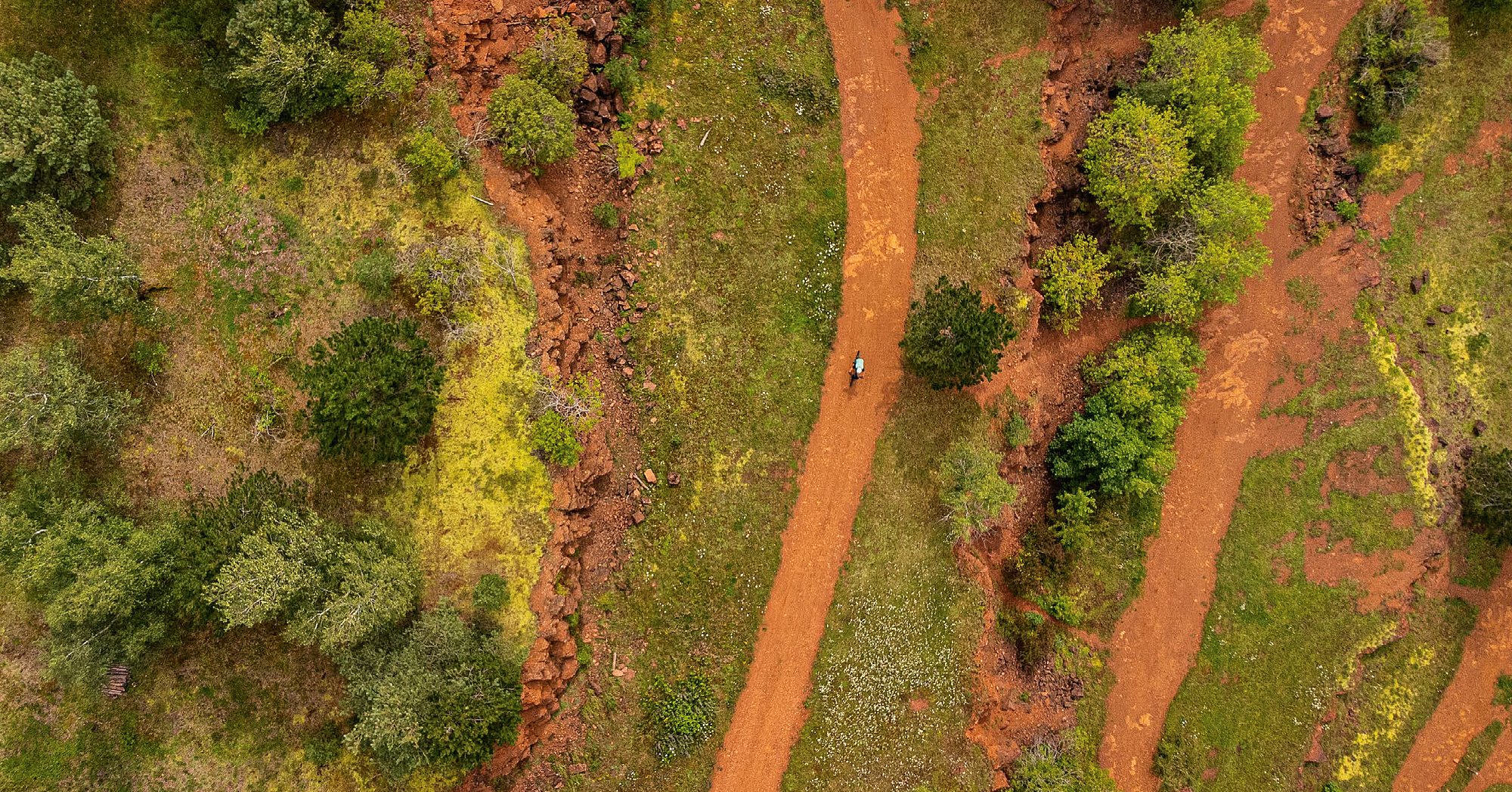 Tourism development The main national guidelines Luxembourg B2B