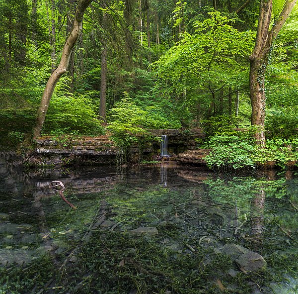 Nature Forest Lake Hunnebuer Mersch Guttland