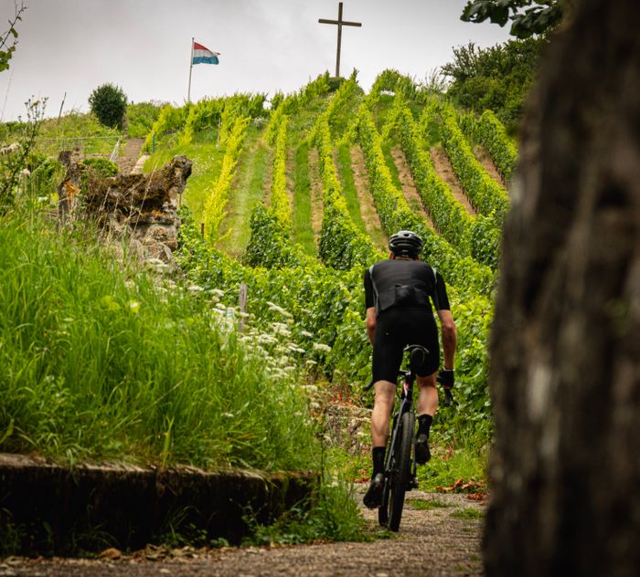 Mosel Vëlosummer