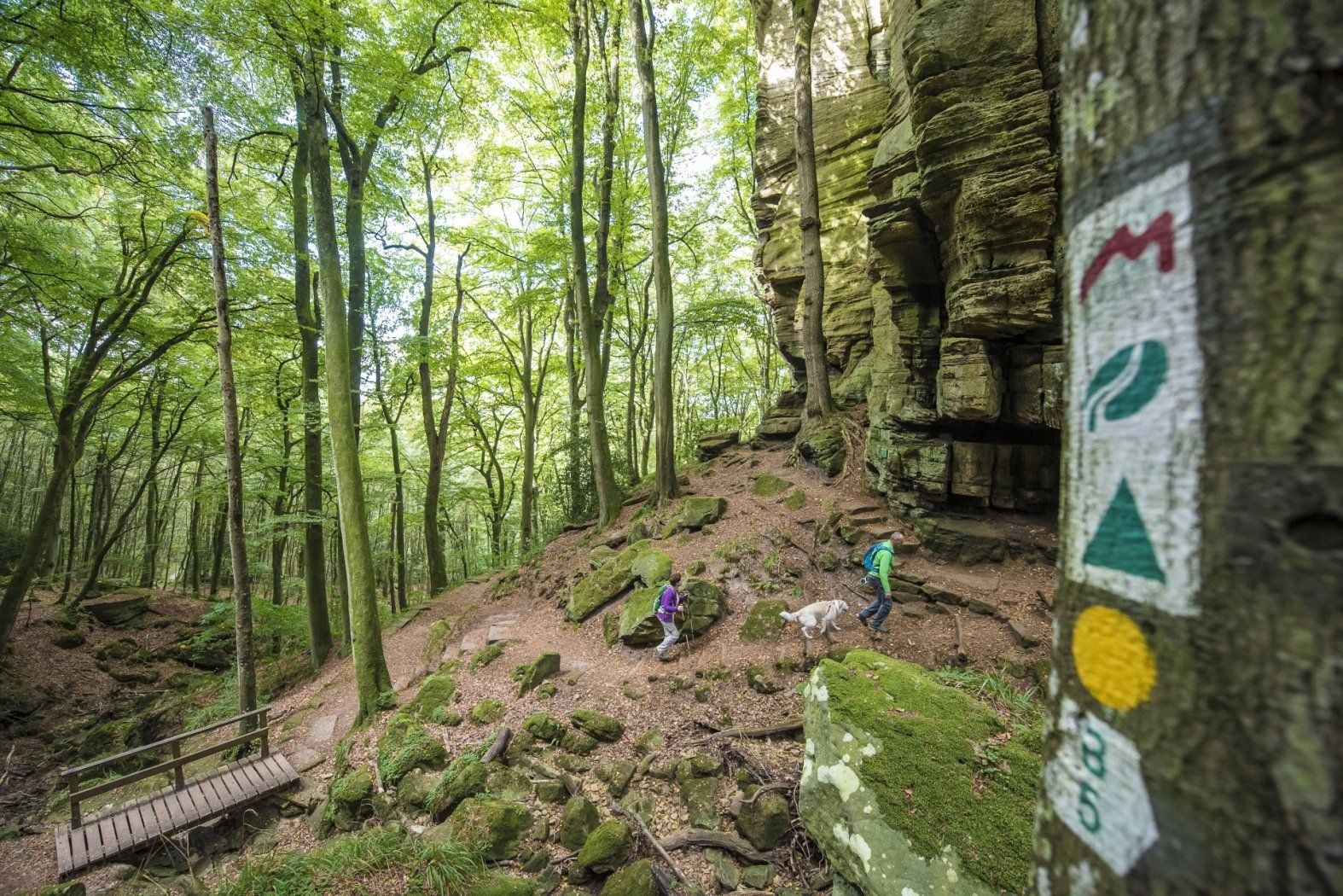 mullerthal trail pulsa pictures