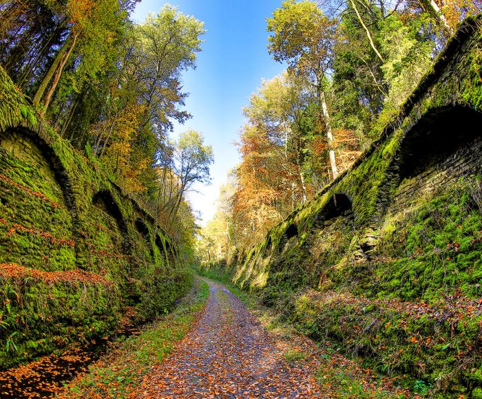 Fliedermaustunnel Huldange