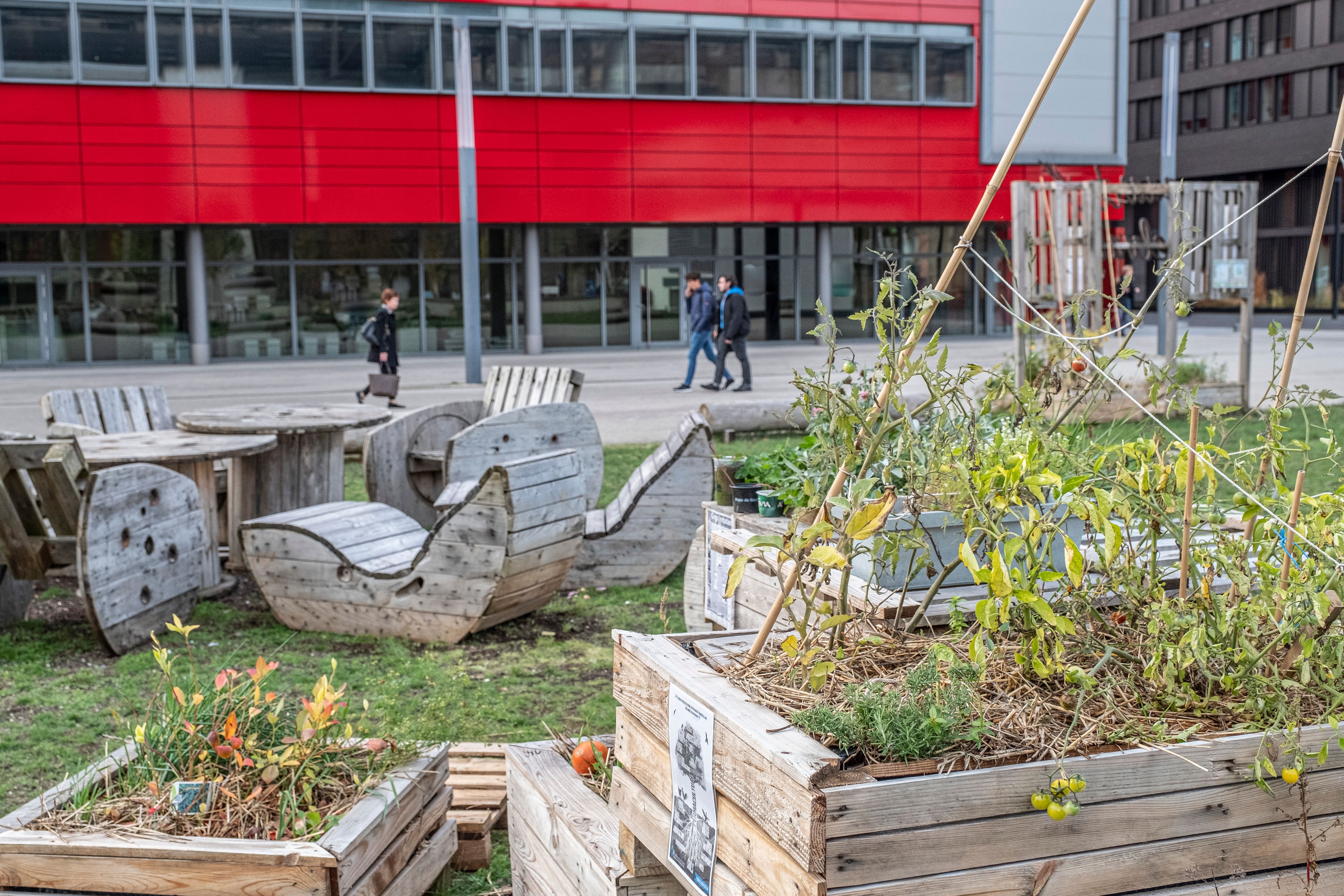 Esch Belval industrial heritage - City of Science & library
