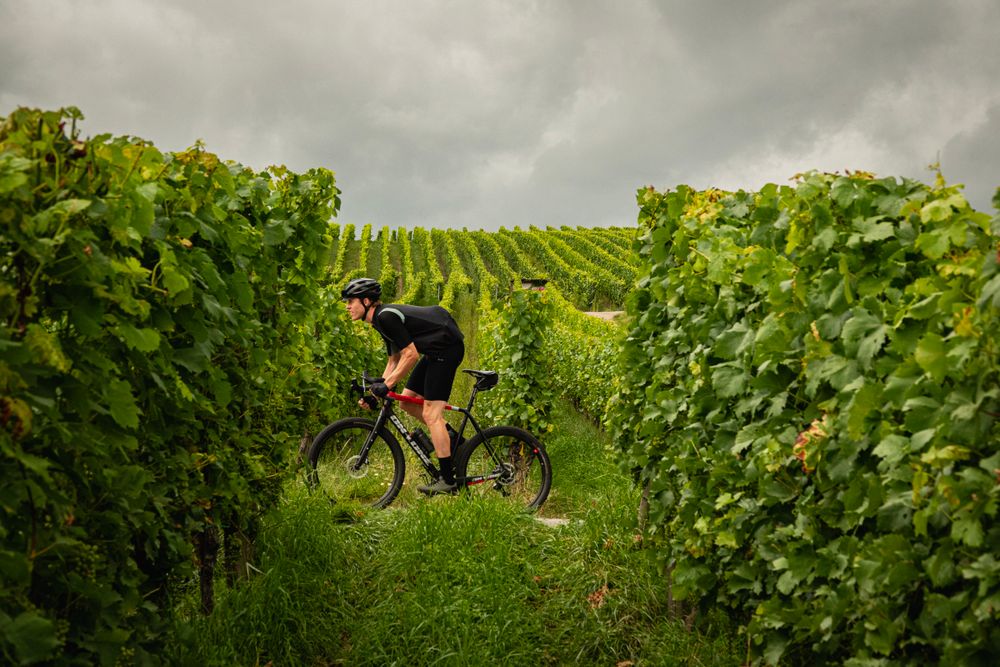 Moselle Velosummer