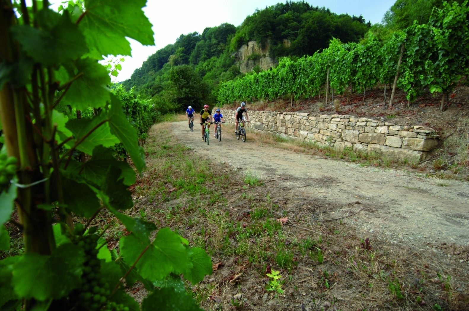 MTB trail Manternach