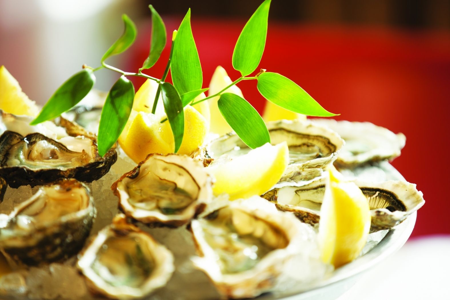 Brasserie Guillaume