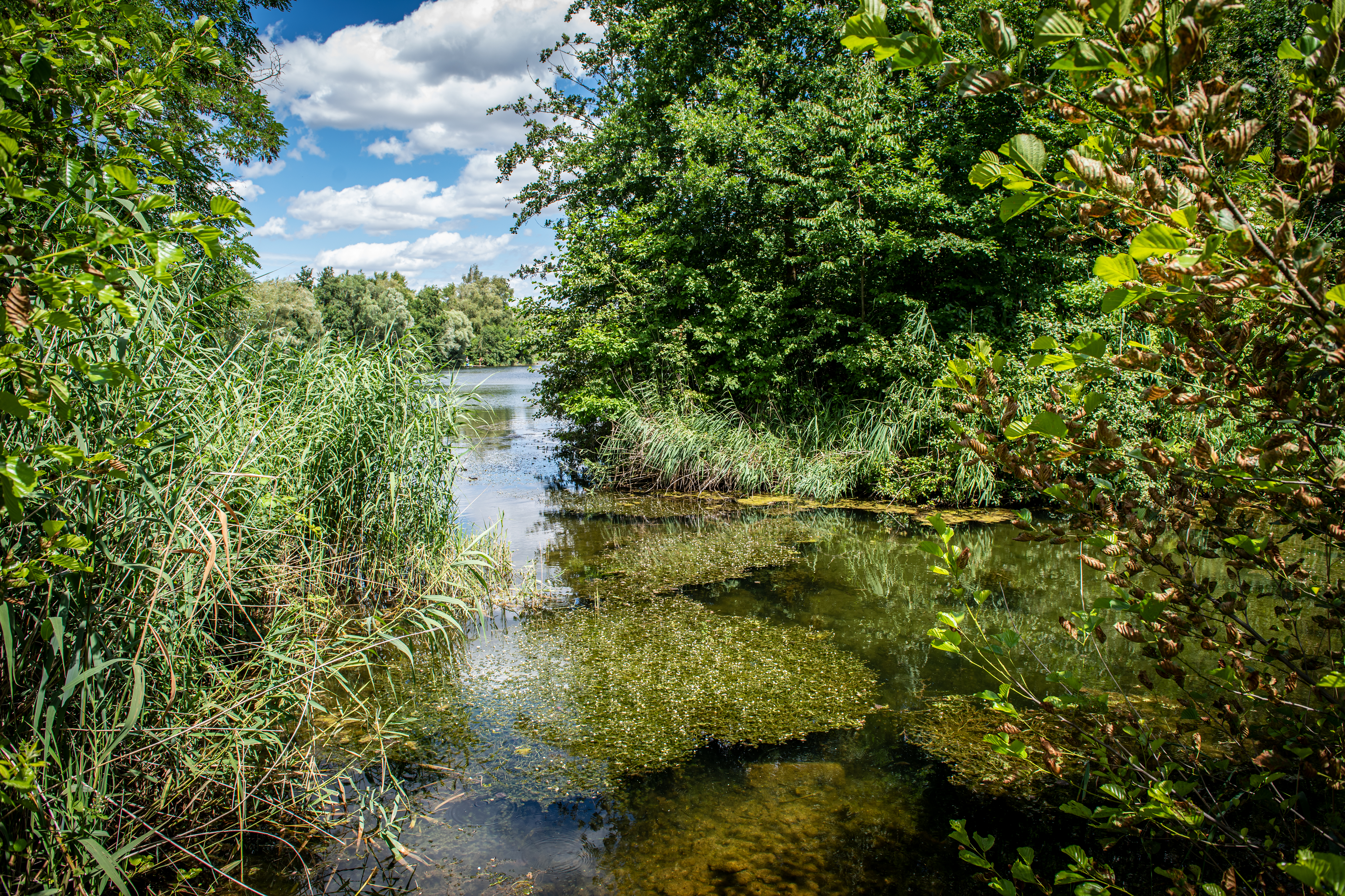 Biodiversum Remerschen