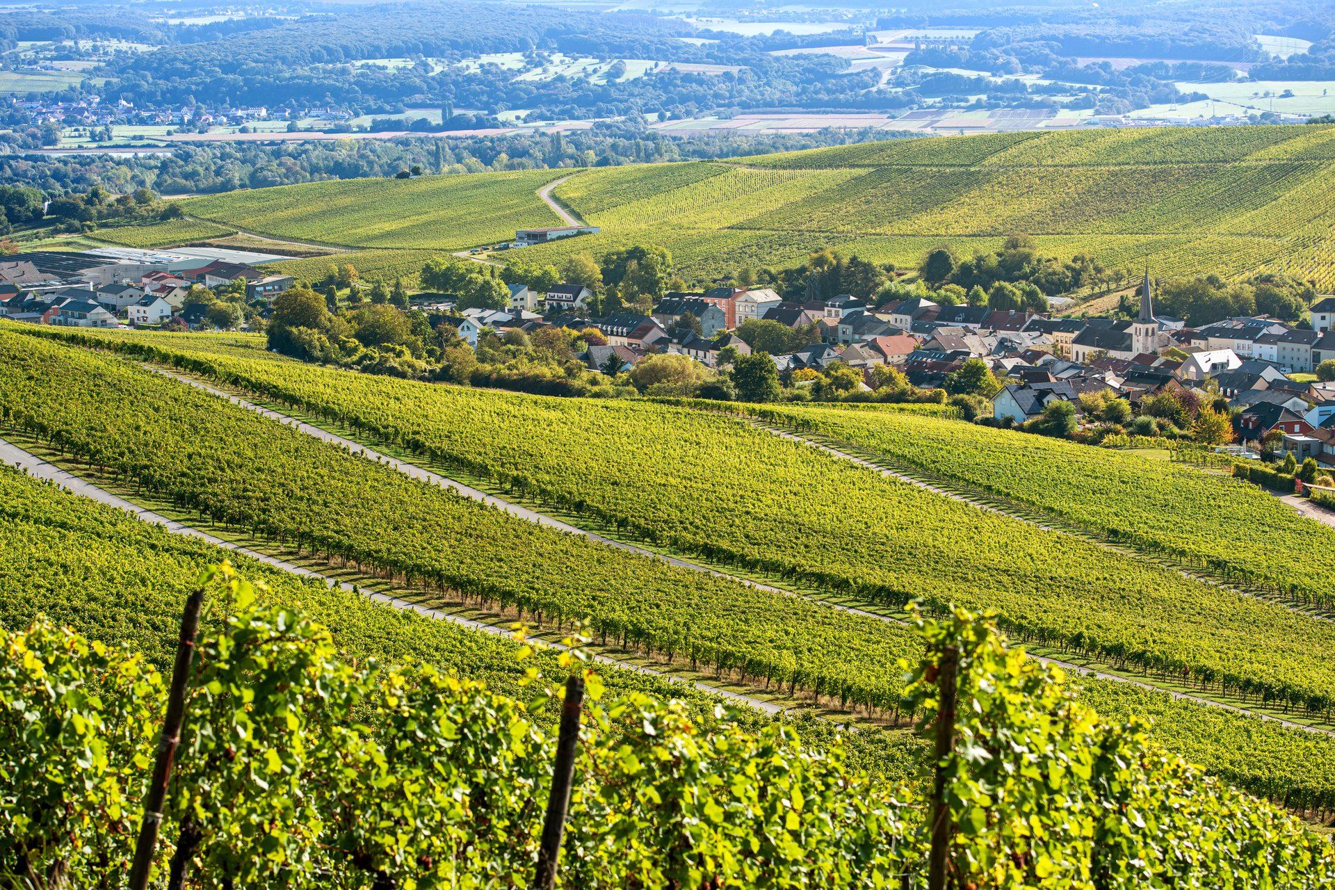 Wellenstein