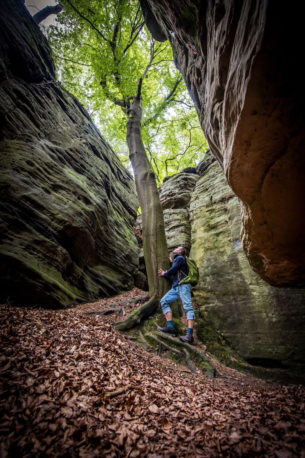 Mullerthal Trail