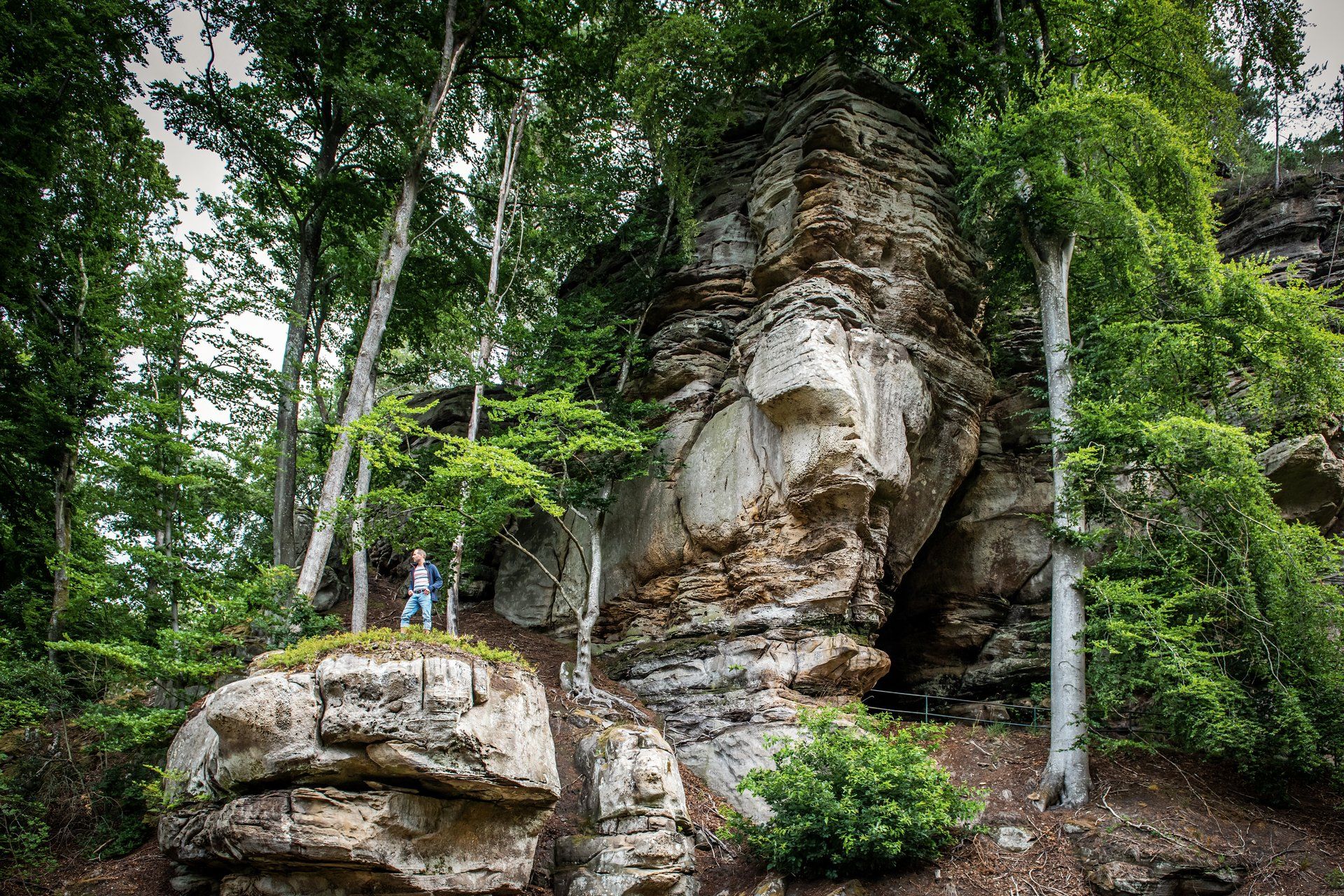 Mullerthal Trail