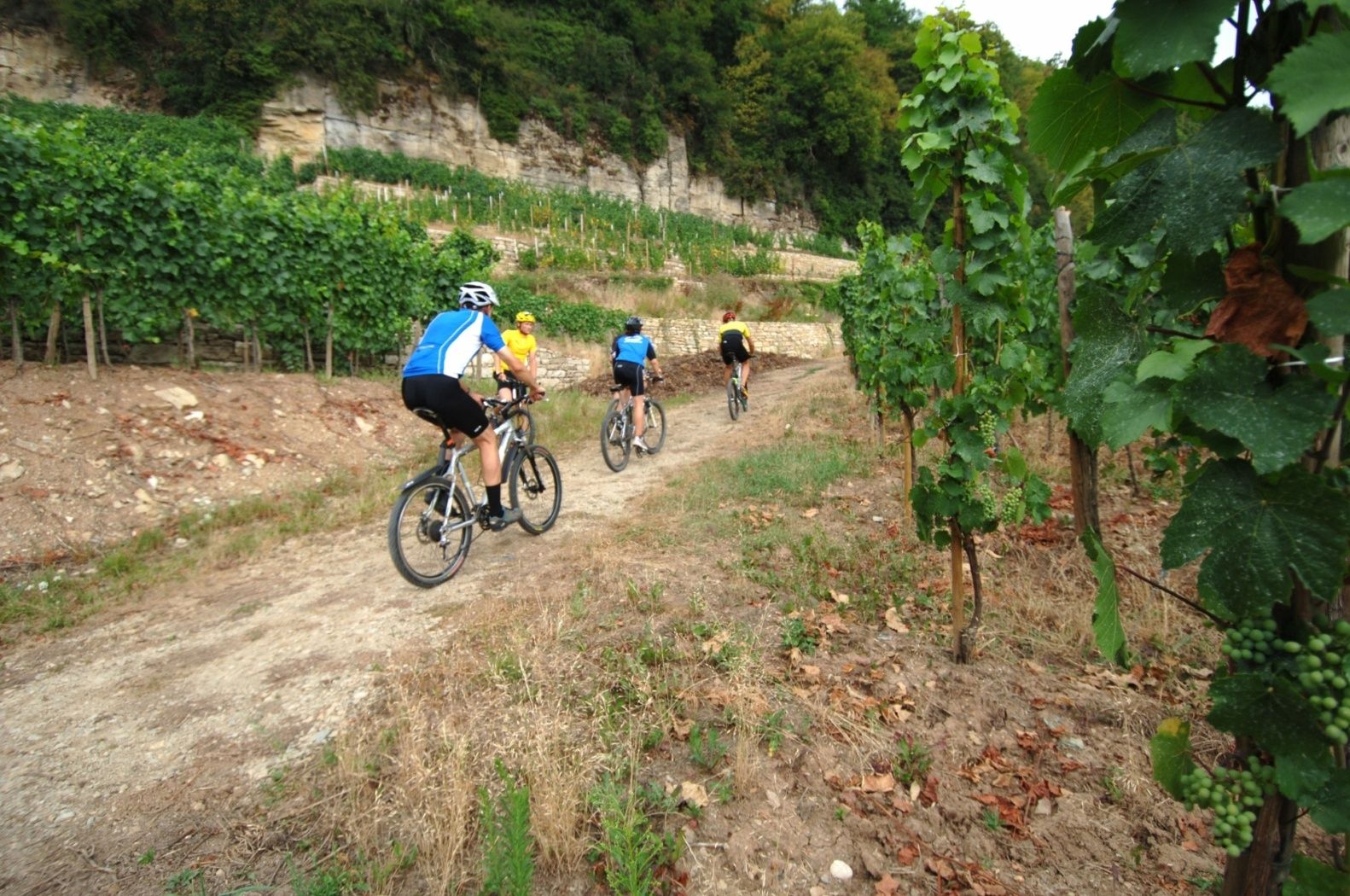 MTB trail Greiveldange © Carlo Rinnen / ORTM / Lft