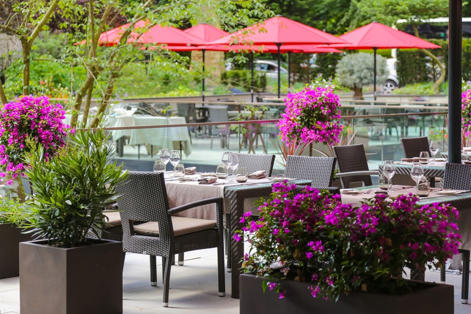 Restaurant Amelys