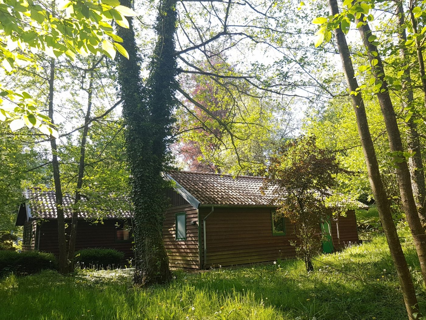 Auberge de jeunesse Larochette